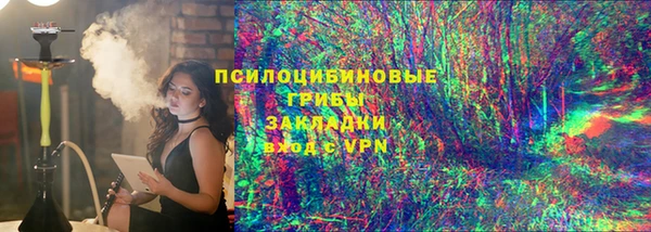 ГАЛЛЮЦИНОГЕННЫЕ ГРИБЫ Лиски