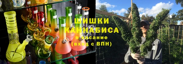 ГАЛЛЮЦИНОГЕННЫЕ ГРИБЫ Лиски