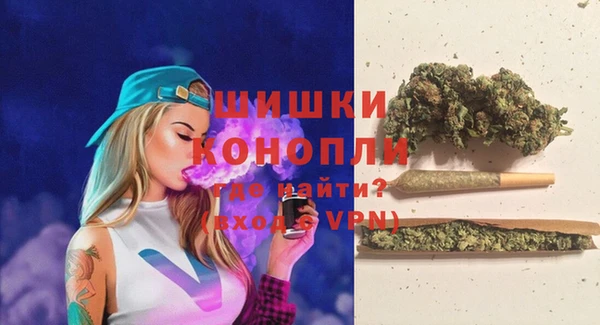 дживик Алагир