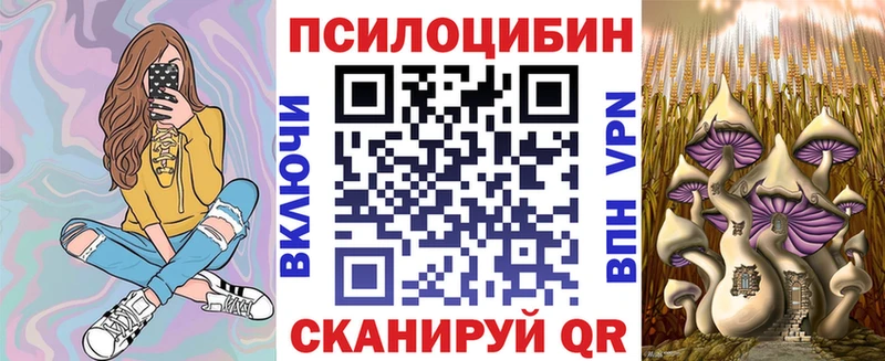 сколько стоит Очёр Галлюциногенные грибы Cubensis
